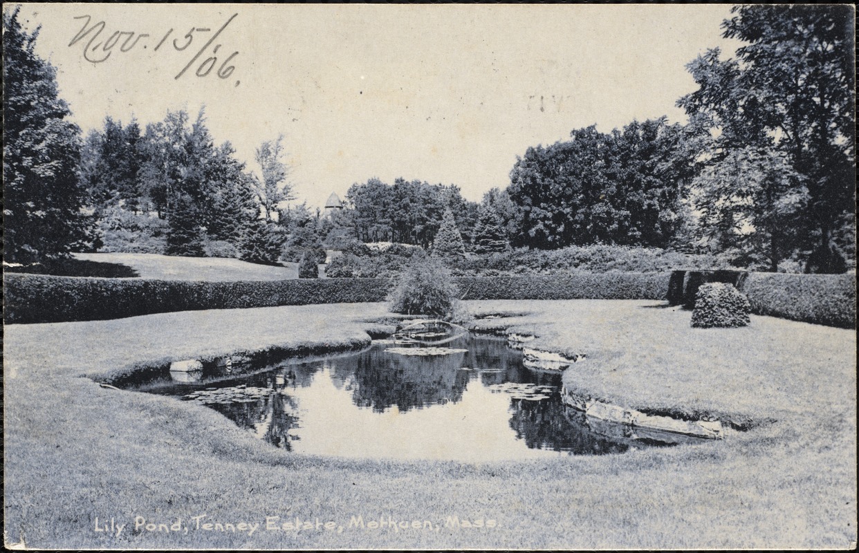 Lily pond, Tenney Estate, Methuen, Mass. Digital Commonwealth