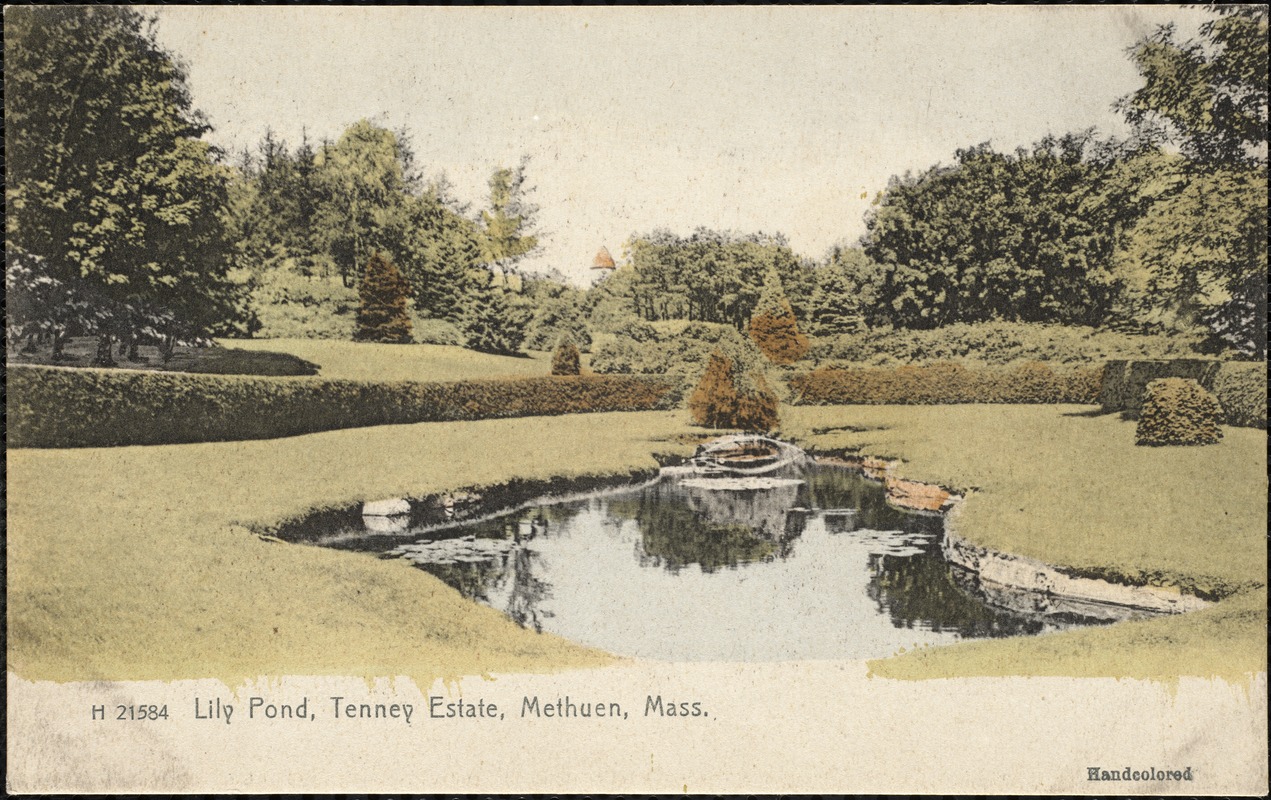 Lily pond, Tenney Estate, Methuen, Mass. Digital Commonwealth
