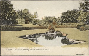 Lily pond, Tenney Estate, Methuen, Mass.