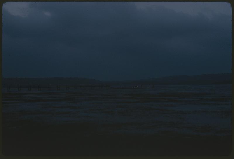 View of marshland with pier