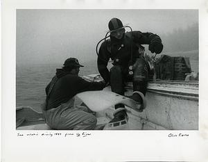 Sea Urchin Diving, 1993