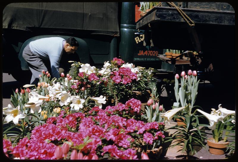Flowers, lilies, market Digital Commonwealth