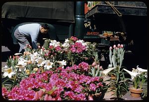 Flowers, lilies, market