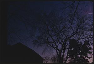 Trees and roof silhouetted against twilight or dawn sky