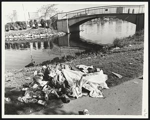 Rubbish and the Charles River at Esplanade - from 'Rock Concert'