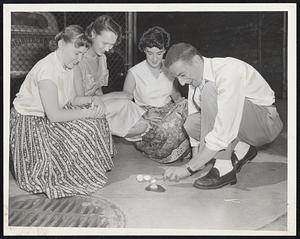 Pavement Fried Two-Minute Egg was possible on tinder-like Atlantic avenue it was proved yesterday by Mary Donohue of Dedham, Natalie Smith and Mary McGowan of Brockton, and Charles D. White, Jr., of Natick.