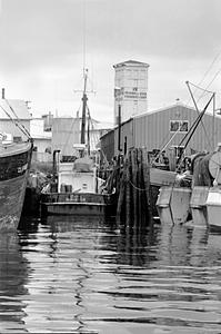 Gloucester Harbor