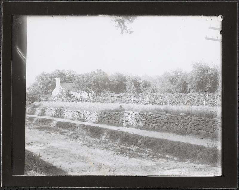 Roadside detail with house and field