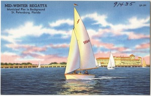 Mid-winter regatta, municipal pier in background, St. Petersburg, Florida