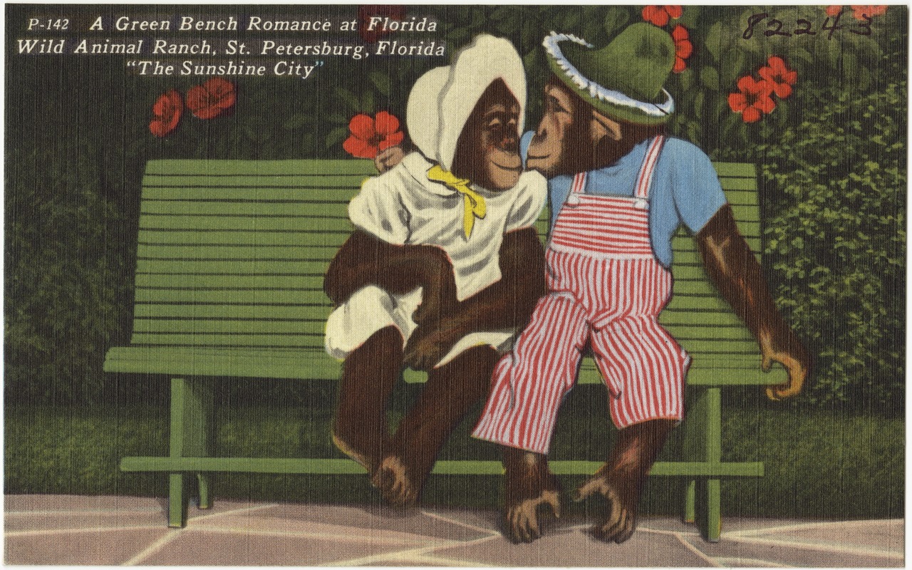 A green bench romance at Florida wild animal ranch, St. Petersburg, Florida, "the sunshine city"