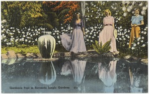 Gardenia pool in Sarasota Jungle Gardens