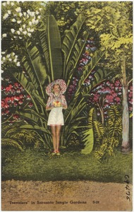 "Travelers" in Sarasota Jungle Gardens