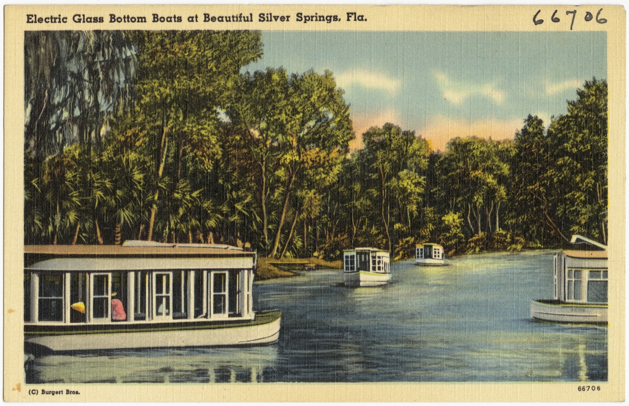 Electric glass bottom boats at beautiful Silver Springs, Florida