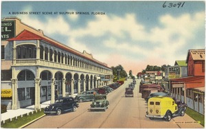 A business street scene at Sulphur Springs, Florida