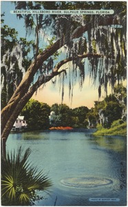 Beautiful Hillsboro River, Sulphur Springs, Florida