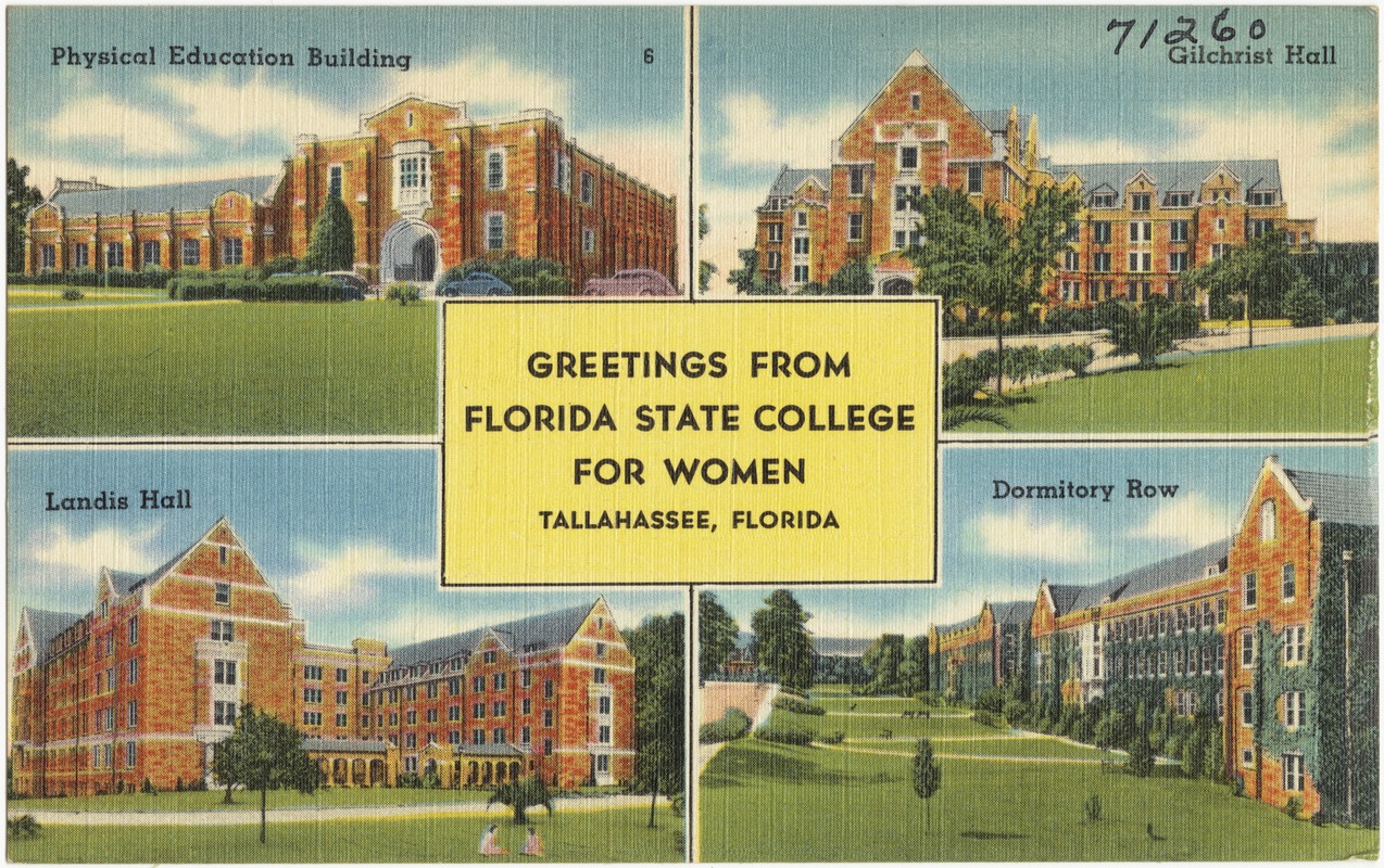 4 x 6      T9 FL Postcard Florida State University in Tallahassee 