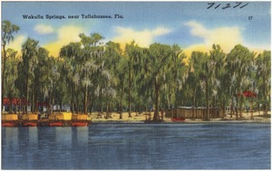 Wakulla Springs, near Tallahassee, Fla.