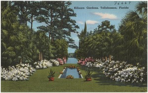 Killearn Gardens, Tallahassee, Florida