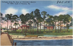 Cottages along the shore at Wilson's Beach, ten miles south of Panacea, Fla.