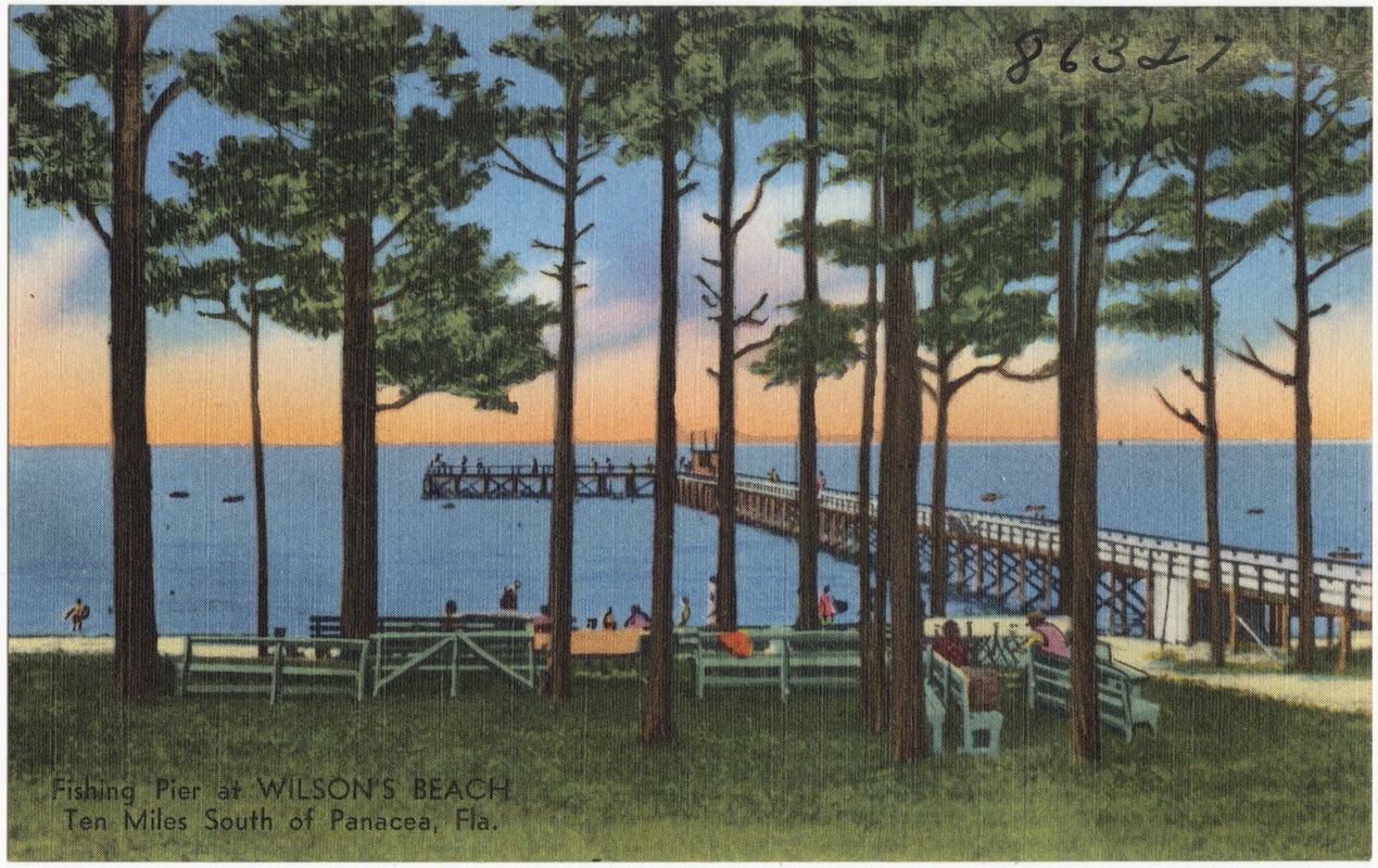 Fishing pier at Wilson's Beach, ten miles south of Panacea, Fla. Digital Commonwealth
