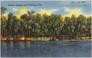 Wakulla Springs, near Tallahassee, Fla.