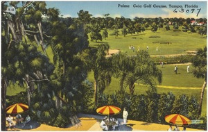 Palma Ceia Golf Course, Tampa, Florida
