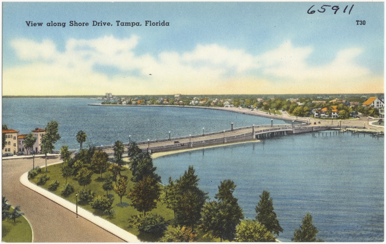 View along Shore Drive, Tampa, Florida