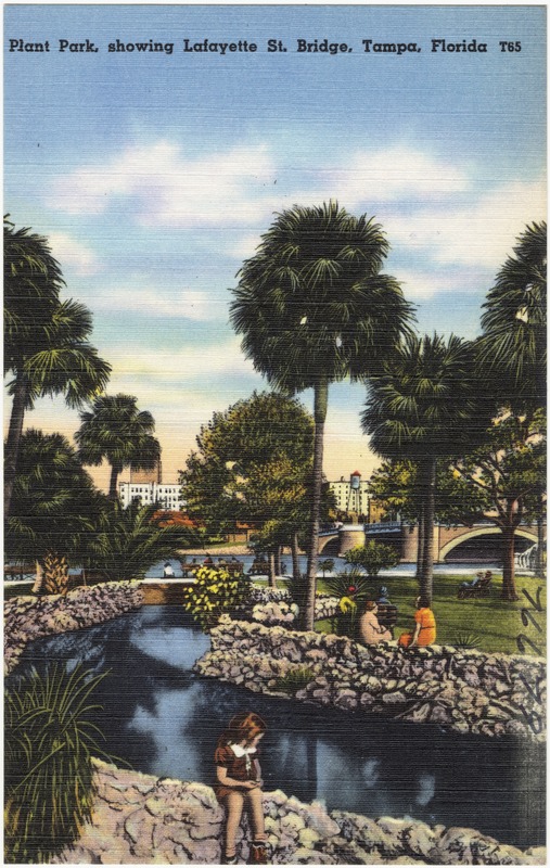 Plant Park, showing Lafayette St. Bridge, Tampa, Florida