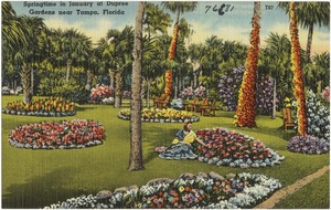 Springtime in January at Dupree Gardens near Tampa, Florida