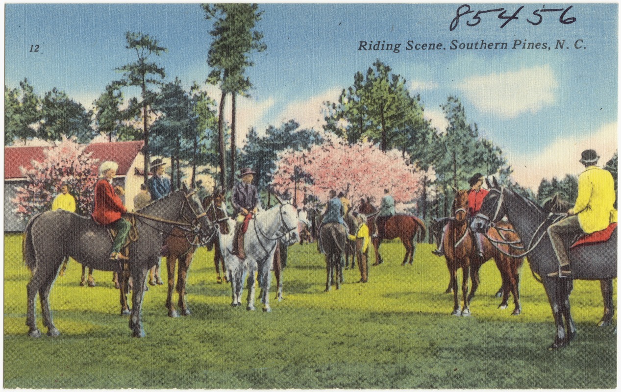 Riding scene, Southern Pines, N. C.
