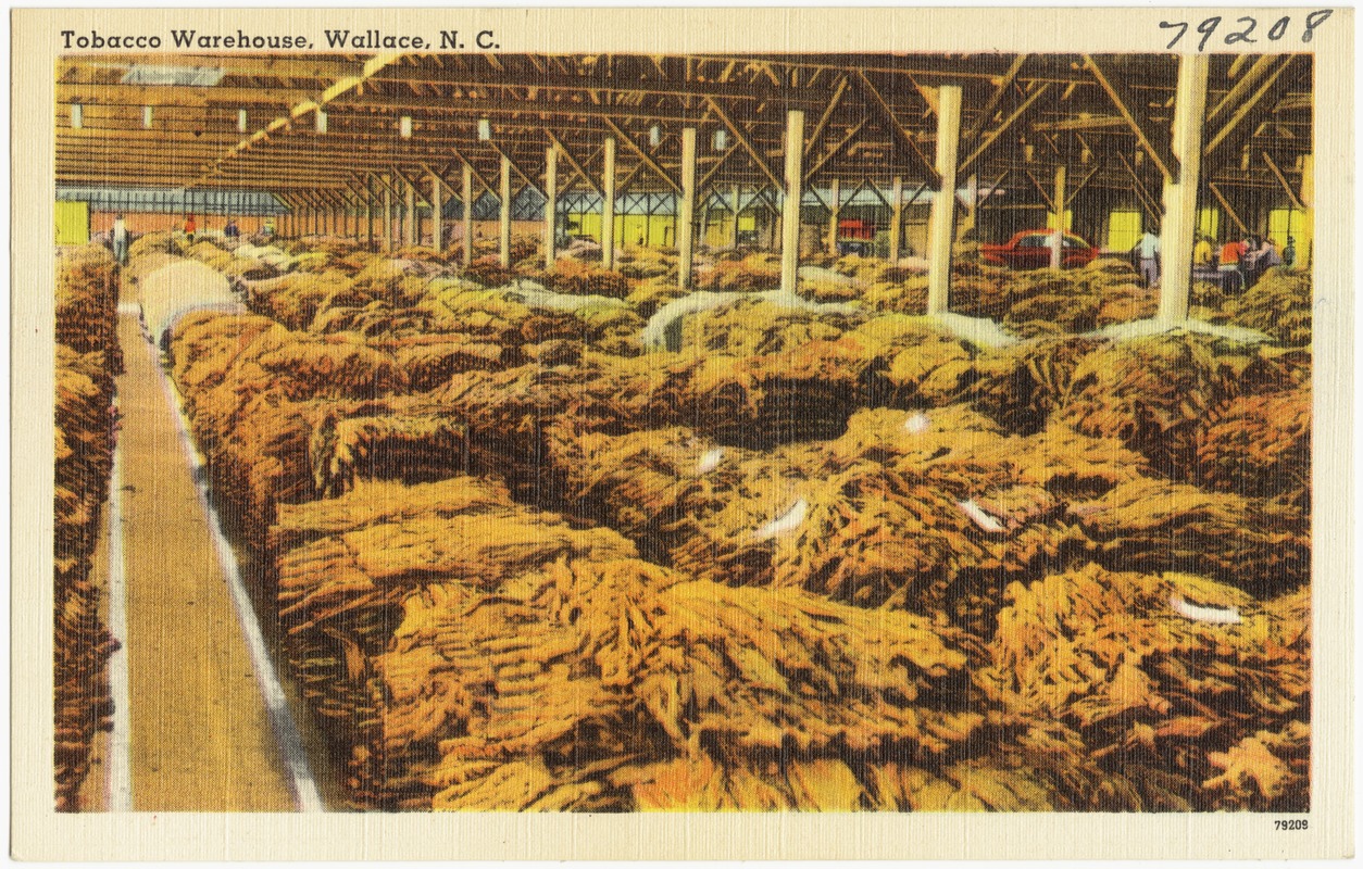 the tobacco warehouse Tobacco Warehouse, Wallace, N. C