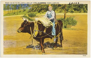 Ready to go to mill with a bag of corn in Western North Carolina