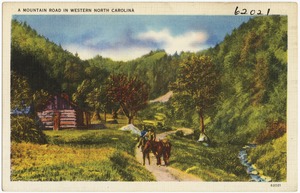 A mountain road in Western North Carolina