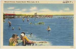 Natural scenes, Crystal Beach, White Lake, N. C.