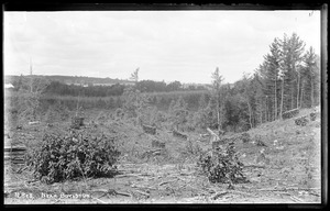 Wachusett Reservoir, north of road from Clinton to Boylston, about half a mile from Boylston, Clinton, Mass., 1895