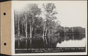 Shore line of Beaver Lake, Ware, Mass., Jun. 23, 1936