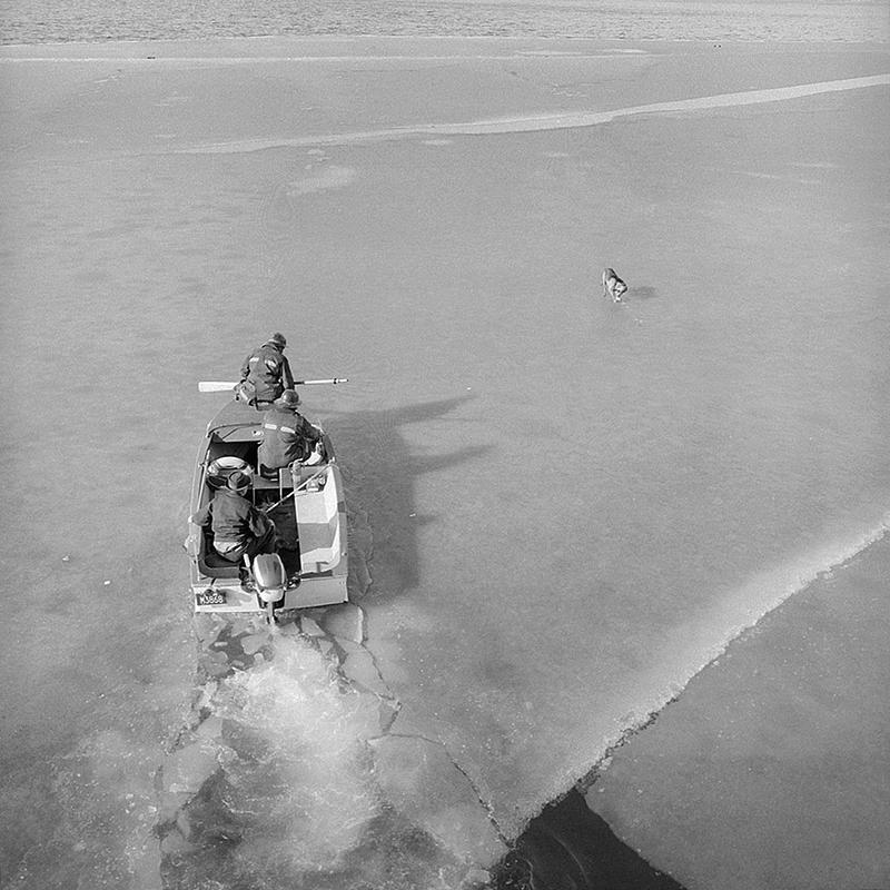 Dogs stuck on ice, Fairhaven, MA Digital Commonwealth