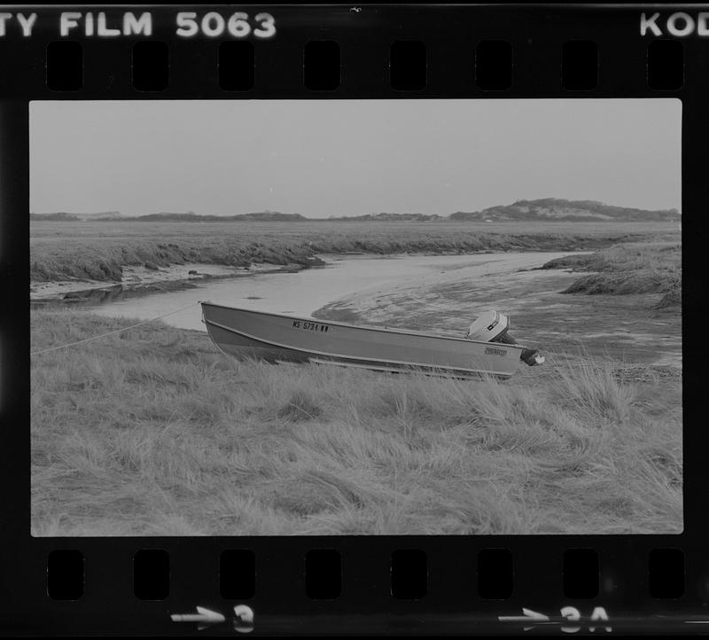 Boat on grass