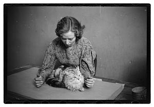 Cat show