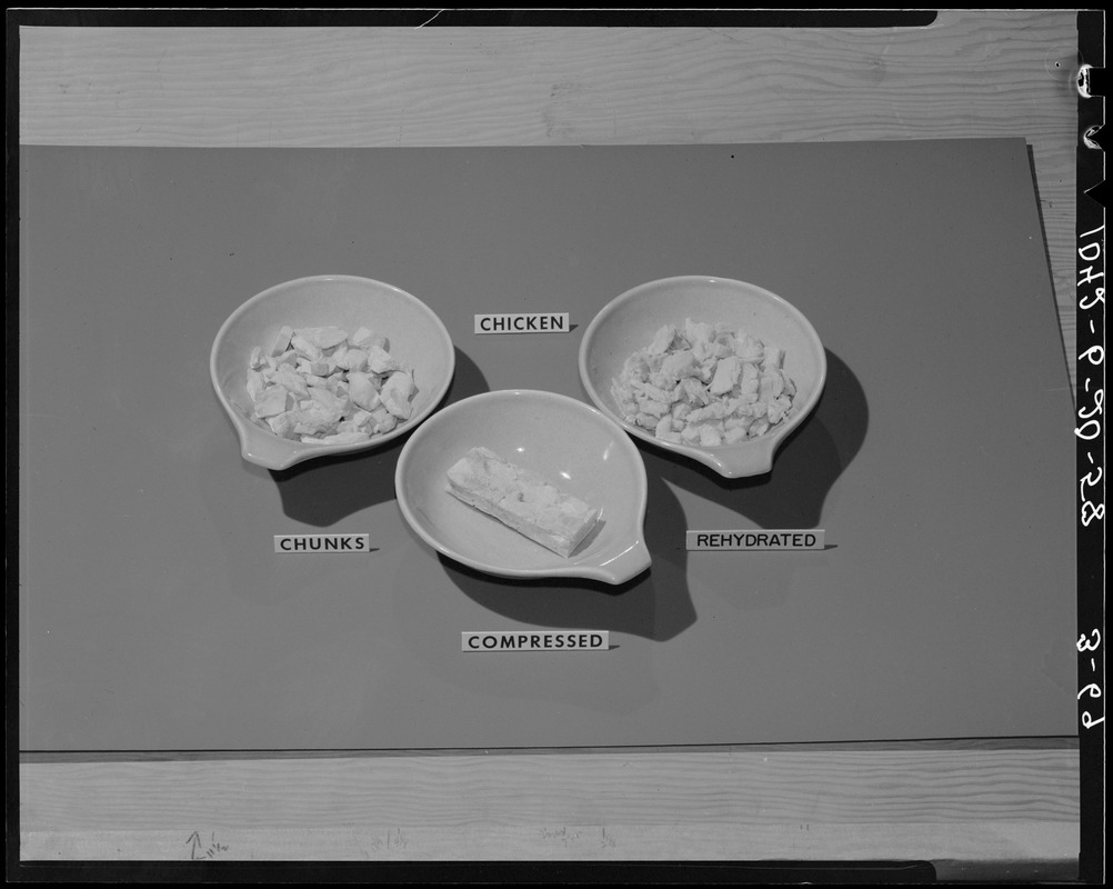 Chicken, chunks, compressed, rehydrated