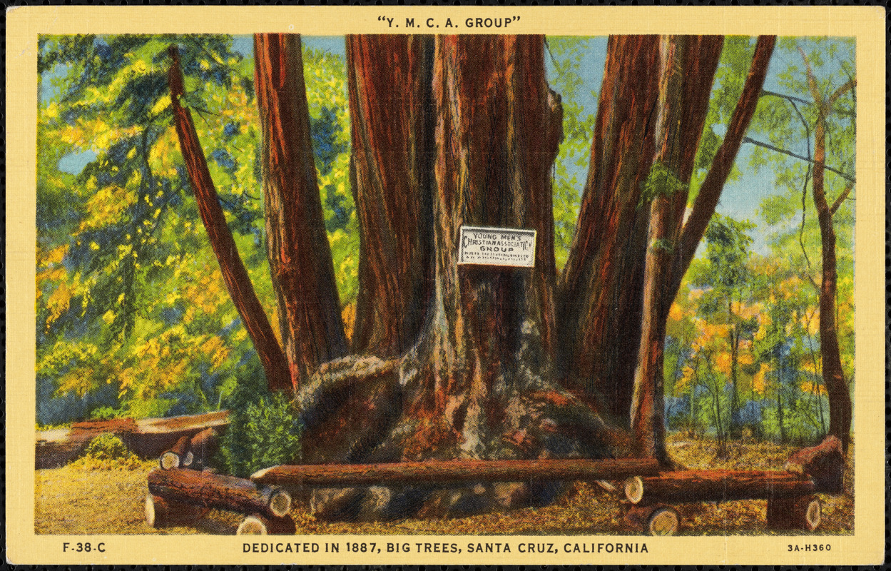 "Y.M.C.A. Group" - Dedicated in 1887, Big Trees, Santa Cruz, California