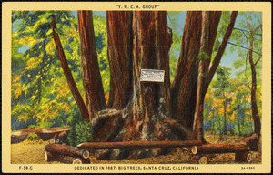 "Y.M.C.A. Group" - Dedicated in 1887, Big Trees, Santa Cruz, California
