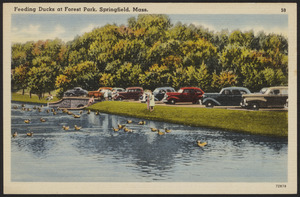 Feeding ducks at Forest Park, Springfield, Mass.