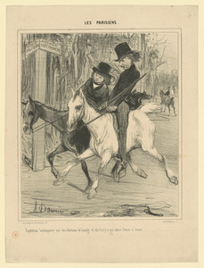 Équitation boutiquière