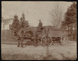 Unidentified Lenoxdale children