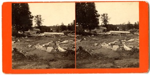 Site of the home of Dr. Elbridge Johnson, 1836?-1874, Williamsburg, Mass., after the 1874 Mill River Disaster