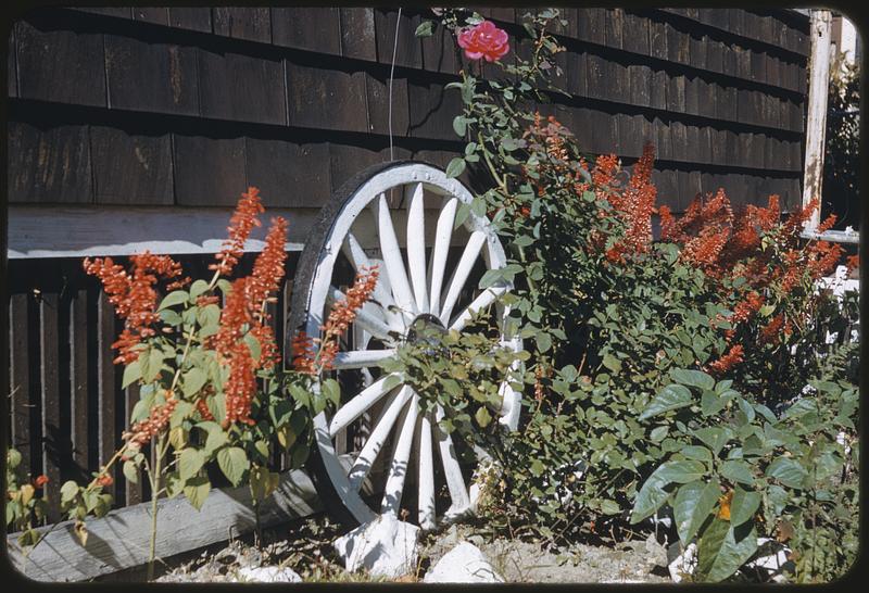 White wheel & flowers