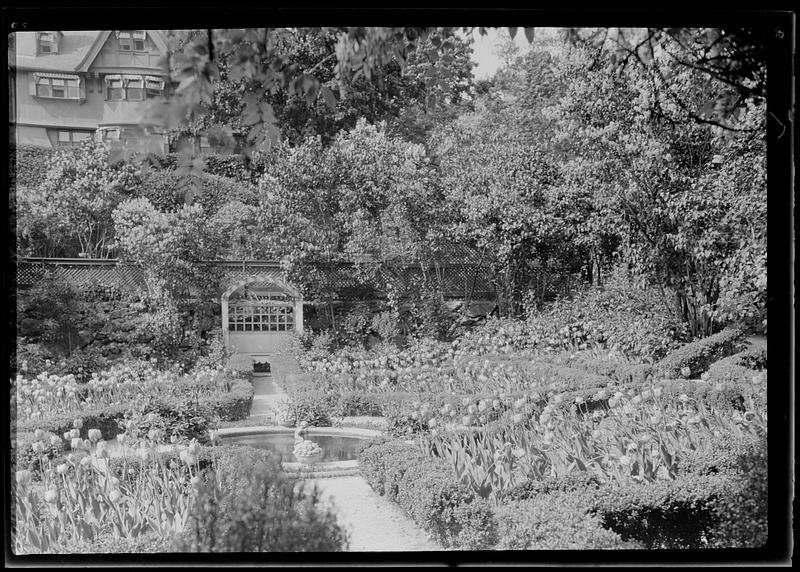 Garden and trees