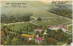 Parks' Barred Rock Farm, Altoona, Pa., home of world's oldest strain