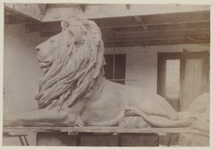 Saint-Gaudens lion in the studio, construction of the McKim Building